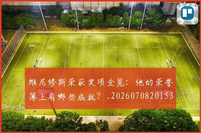 维尼修斯荣获奖项全览:他的荣誉簿上有哪些成就?_20260708201536