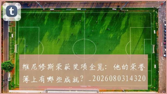 维尼修斯荣获奖项全览:他的荣誉簿上有哪些成就?_20260803143205