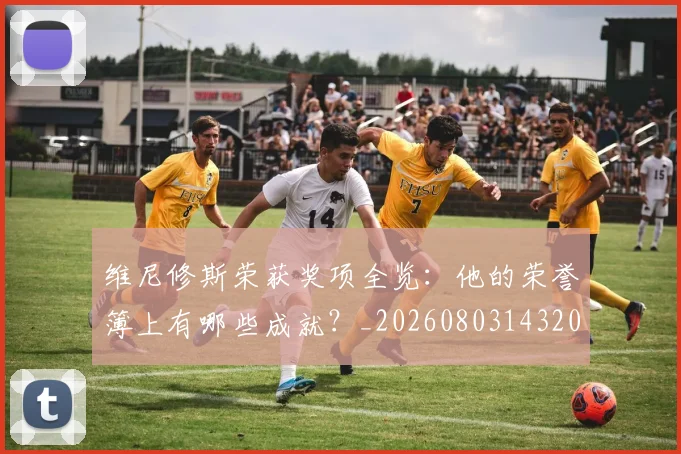 维尼修斯荣获奖项全览：他的荣誉簿上有哪些成就？_20260803143205